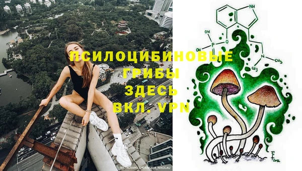шишки Липки
