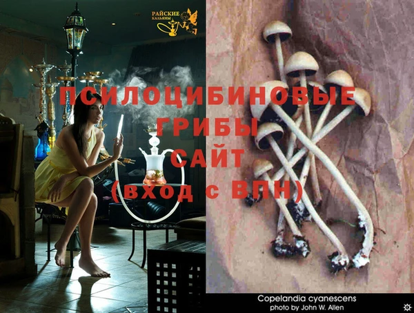 круглые Алзамай