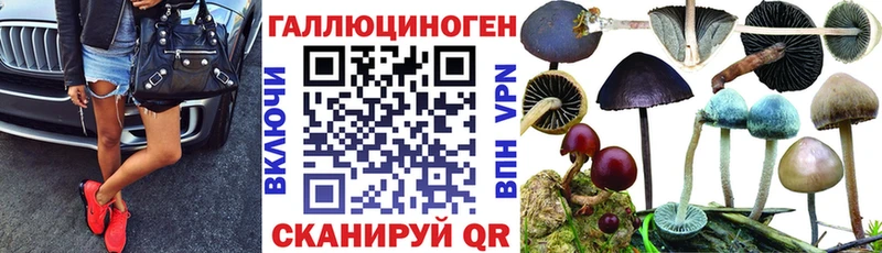 Псилоцибиновые грибы прущие грибы  Ярцево 